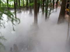 -东湖落雁景区