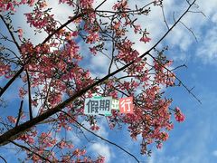 -风云岭森林公园