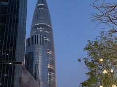 -深圳湾万象城(南山店)