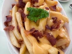 -Fern Forest Cafe