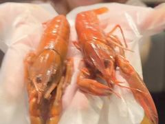 -红盔甲·小龙虾(天钥桥店)