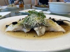-龙悦湾酒家·八阵鱼生·渔人码头店