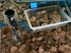 -和源祥·日照菜扛把子(万平口一店)