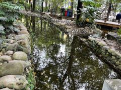 -成都市活水公园