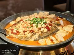 -苏泡泡豆花烤鱼(婺源店)