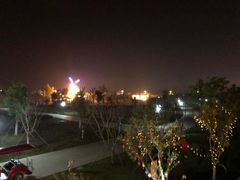 -南通鲜花小镇