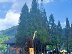 -东钱湖小普陀景区