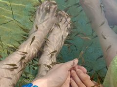 -崇阳三特浪口温泉