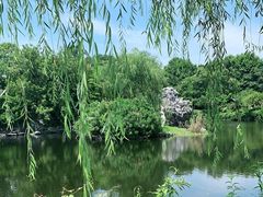 -无锡蠡湖国家湿地公园-蠡园