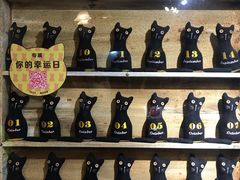 -猫咪博物馆(顶澳仔猫街店)