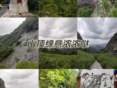 -朱雀国家森林公园