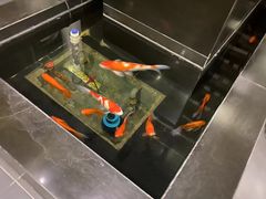-北京鹏龙瑞星奔驰4s店(来广营店)