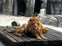 -太湖龙之梦