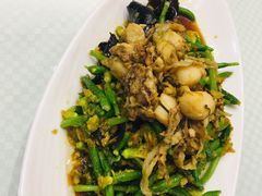 黄瓜花拌扇贝-双井轩(双井店)
