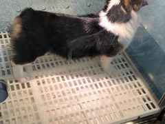 -乐宠宠物店(世纪金源店)