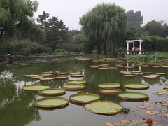 -国家植物园南园