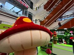 -龙湖重庆时代天街