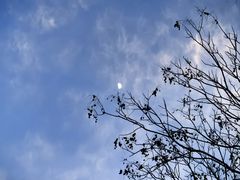 -杭州杭帮菜博物馆