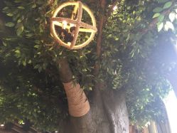 -V-STAR威斯达•高级私人定制