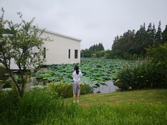 -上海长兴岛郊野公园