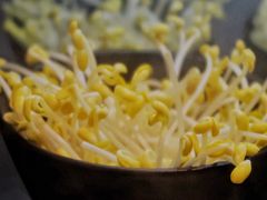 -屋头串串(龙潭寺店)