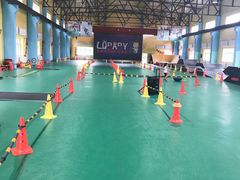 -长春乐奇平衡车儿童体能运动中心