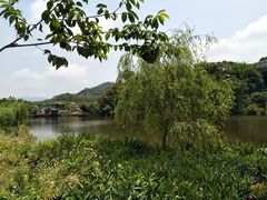 -鹤之洲湿地公园