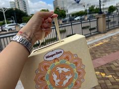 -哈根达斯(印力中心店)