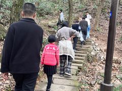 -杭州半山国家森林公园