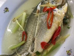 -老三鱼仔店