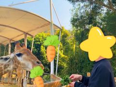 -泉州海丝野生动物世界