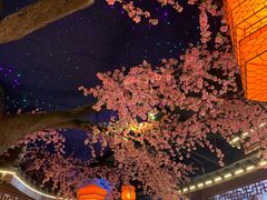 -荷塘秋月·本帮江浙菜(国权路店)