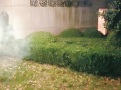 -南桥绿地铂骊酒店