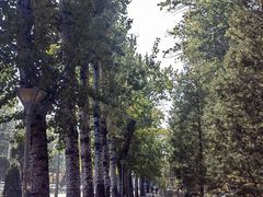 -元大都城垣遗址公园