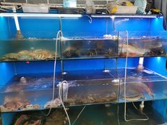 水产区-食海部落