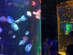 -锦艺城海洋馆