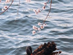 -颐和园