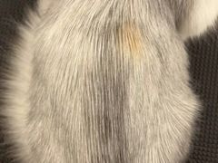 -comecome来吧宠物(奥克斯中心店)