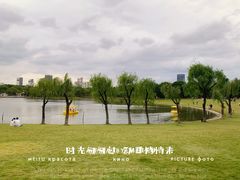 -黄兴公园