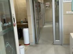 -谐和益家动物医院·免疫绝育·血液透析·宠保定点医院(高新伊藤分院)