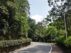 -火炉山森林公园