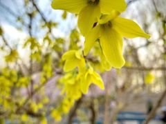 -大兴滨河森林公园