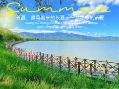 -野鸭湖国家湿地公园