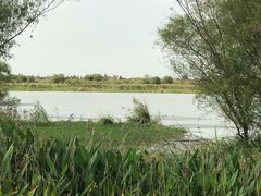 -长兴太湖图影湿地文化园