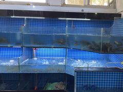 -宾湖农庄·农场特色(太湖龙之梦店)