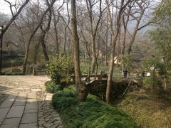 iphone_upload_pic-法云安缦酒店