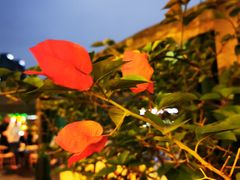 -冰冰龙虾·江湖菜·花园江景餐厅
