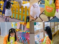 -三亚海棠湾喜来登度假酒店