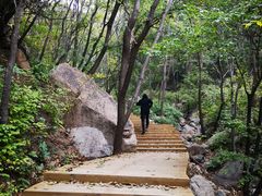 -大岭沟猕猴桃谷风景区