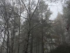 -驼梁风景区